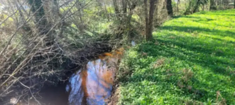 Une immersion naturelle pour découvrir les zones humides du Médoc le 7 avril