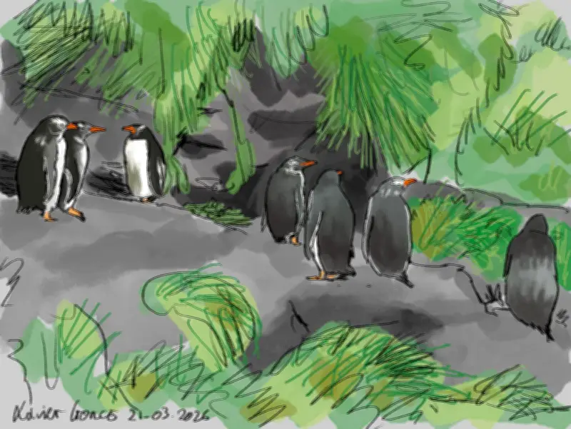 Une journée intense à Crozet : entre déchargement héliporté et observation des manchots