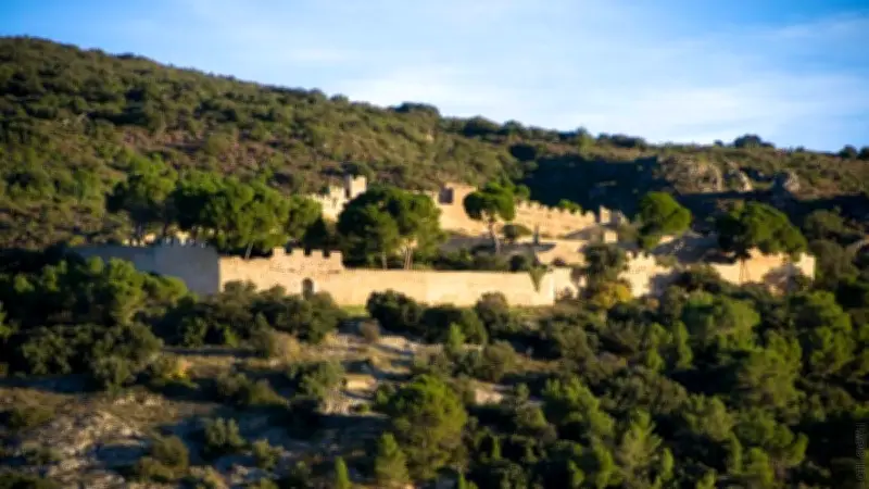Une marche immersive entre garrigue et vignoble à Montpeyroux dans l'Hérault