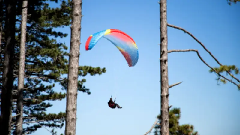 Une parapentiste coincée 5h30 à 20 mètres de haut dans les Ardennes après un décollage raté