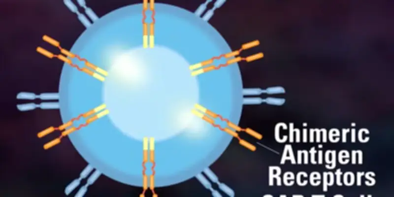 Une perfusion de cellules CAR-T induit une rémission de trois maladies auto-immunes chez une patiente