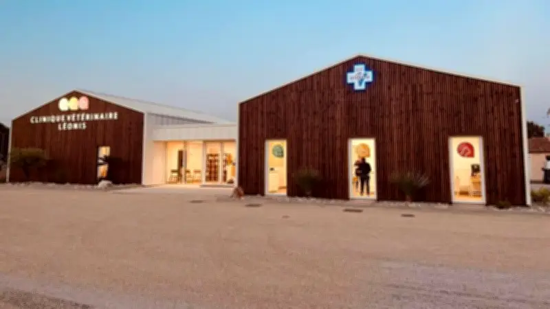 Une Puppy Party pour socialiser les chiots à Saint-Laurent-d'Aigouze