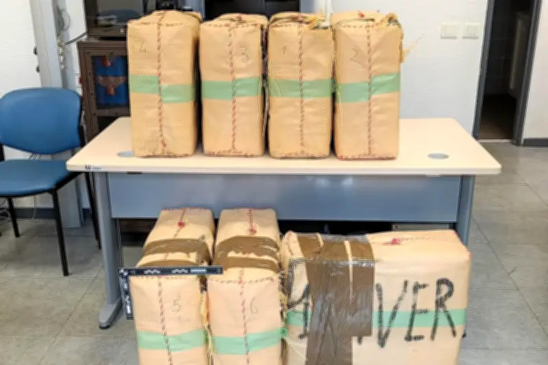 Var : 300 kilos de drogue saisis, un réseau de trafic Espagne-France démantelé