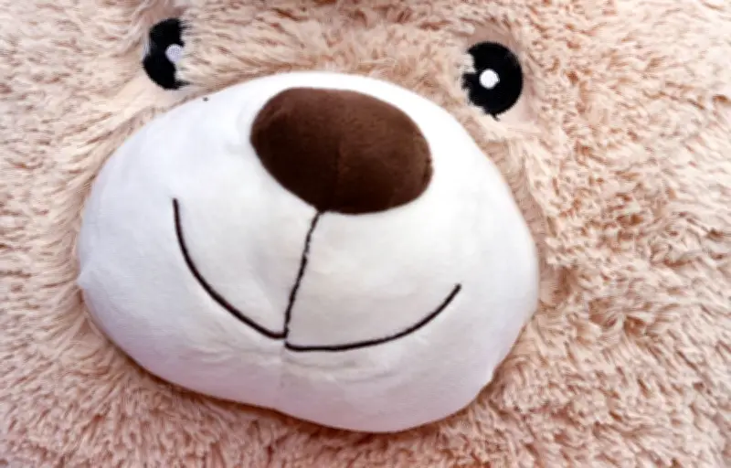 Var : un doudou perdu retrouvé onze ans plus tard, il avait côtoyé Brad Pitt