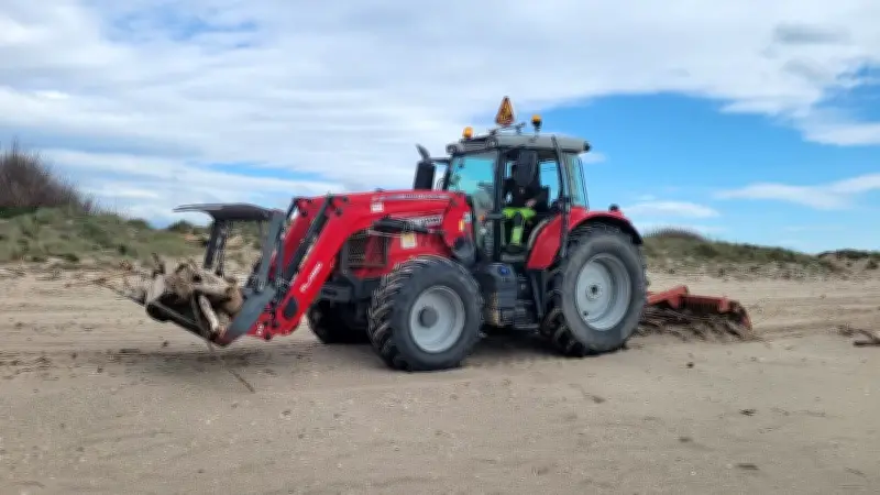 Vendres prépare sa plage pour l'été avec un nettoyage écologique des bois flottés