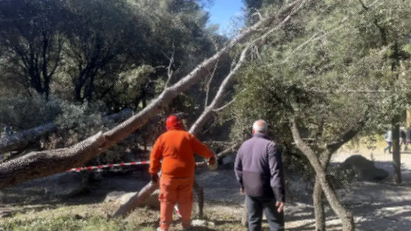 Vent violent dans l'Hérault : un week-end intense pour les secours et bénévoles