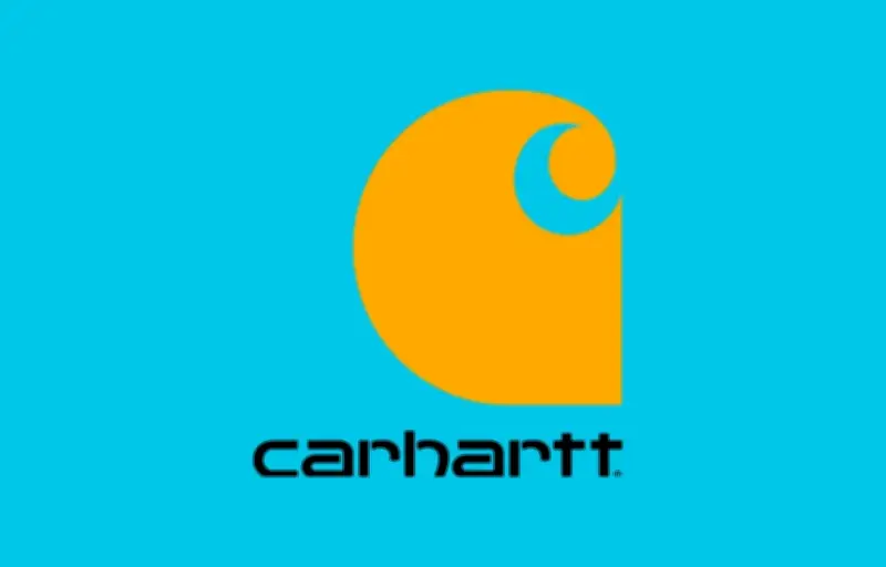 Veste Carhartt Duck Detroit : confort et style workwear à prix réduit