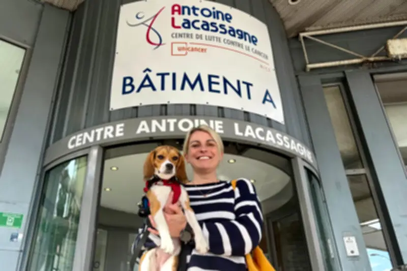 Victoire, la Beagle sauvée des labos, réconforte les patients du centre anti-cancer de Nice