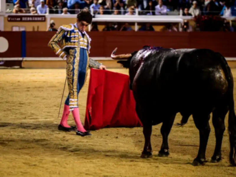 Victor Hernandez, la révélation intransigeante de la tauromachie espagnole