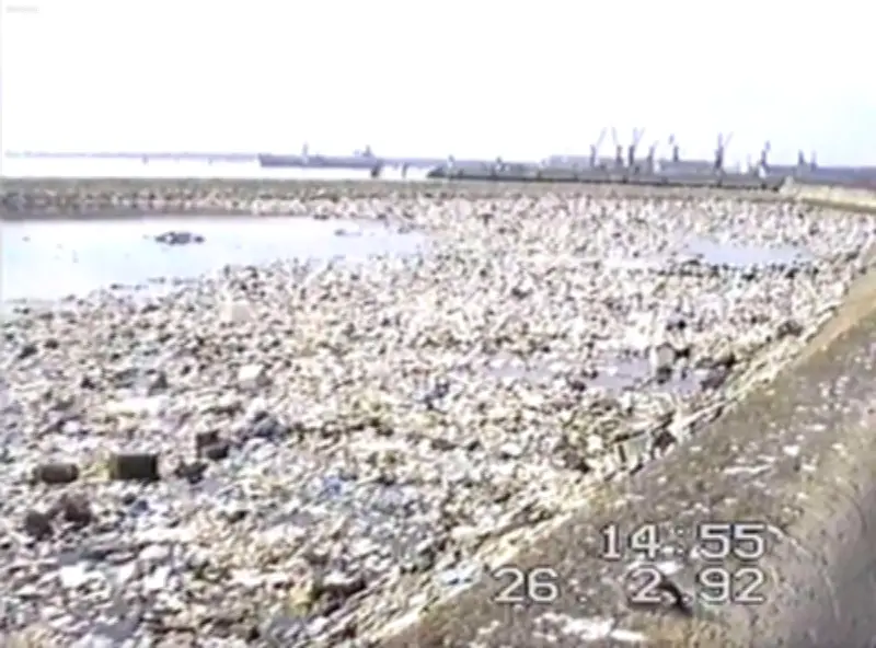 Vidéo de 1992 montre des déchets radioactifs à Chef-de-Baie