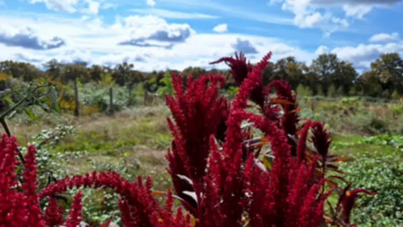 Visite gratuite du Jardin Faut Rêver : Découvrez la forêt comestible de Bascons