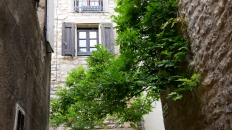 Visite guidée aux Matelles : secrets du village médiéval à découvrir en mai