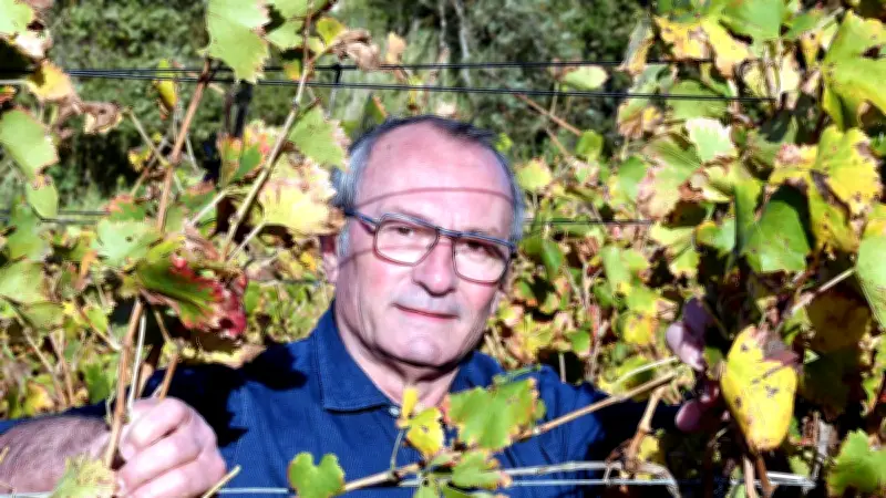 Viticulture en crise : le sénateur Cabanel dénonce l'inaction face à l'urgence climatique