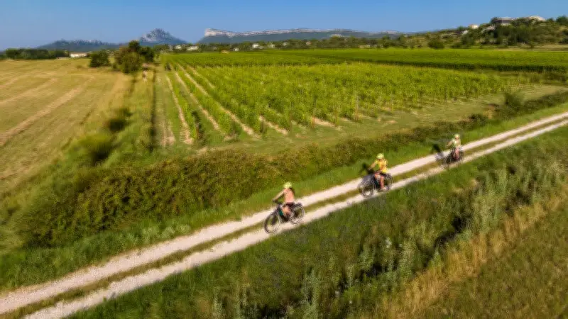 Vélo vin copains : une nouvelle initiative d'œnotourisme dans le Pic Saint-Loup