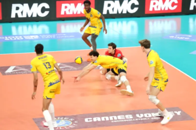 Volley : Cannes éliminé en quarts de finale par Montpellier après une défaite 3-0