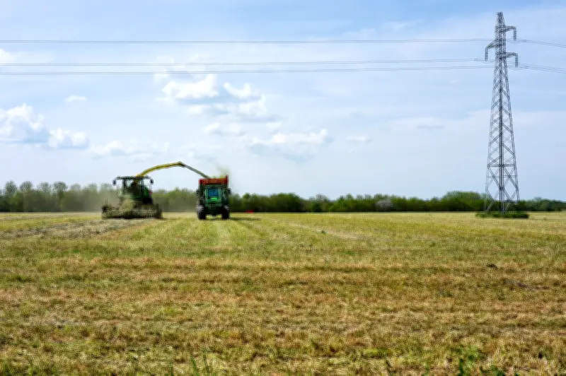Vols en milieu agricole : du chapardage au pillage organisé, une menace grandissante