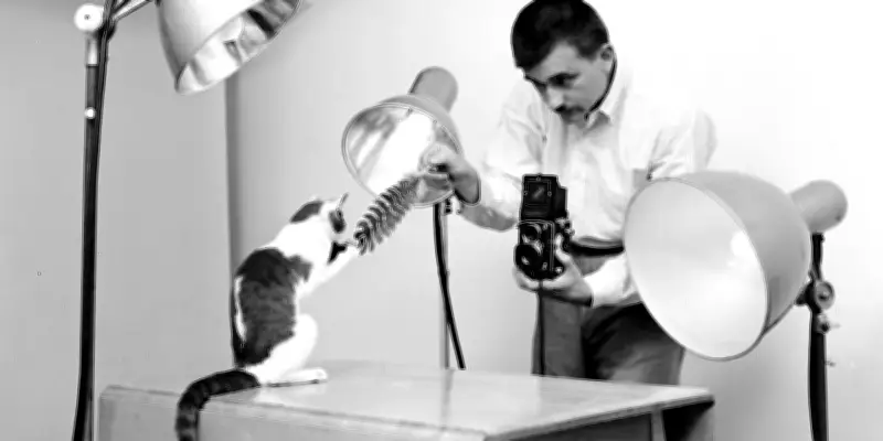 Walter Chandoha, pionnier de la photographie féline, célébré dans un nouvel ouvrage