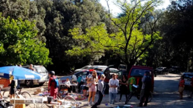 Week-end festif à Mons : brocante, arts et musique avec Broctou