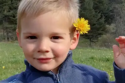 Affaire Émile : le livre qui révèle les dérives médiatiques et les zones grises de l'enquête