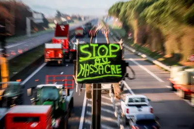 Agriculture et agroalimentaire français : l'effondrement de l'excédent commercial face à la surfiscalité