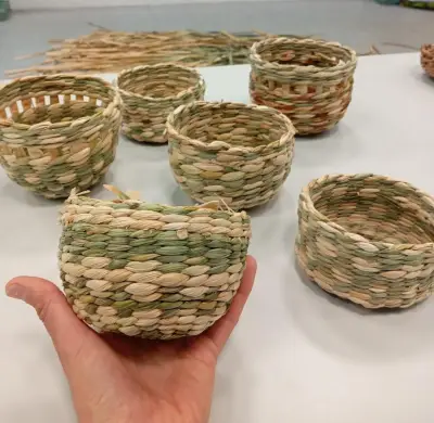 Atelier de vannerie sauvage à Béost : un lien retrouvé avec la nature et l'artisanat