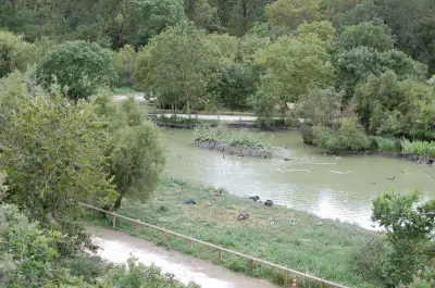 Balade sensorielle gratuite au bois d'Anga pour découvrir la nature