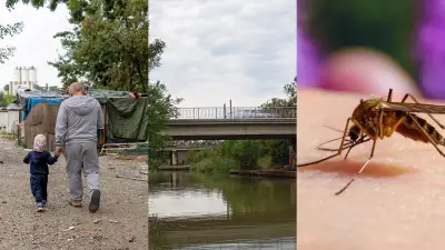 Bidonville évacué, corps dans le canal, cheval infecté : l'actu régionale