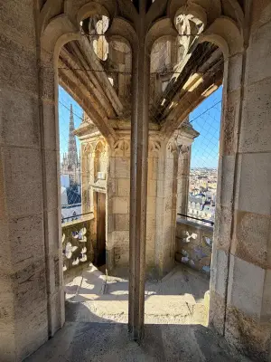 Bordeaux redécouvert : comment un guide transforme les promeneurs en détectives urbains