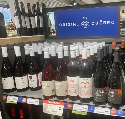 Boycott des vins américains : les viticulteurs canadiens en plein essor