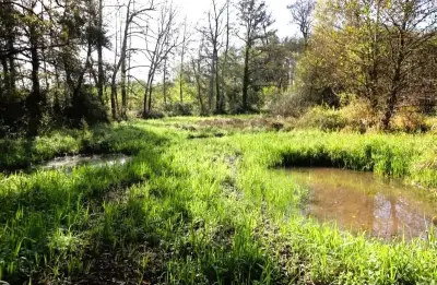 Budget 2026 : Latitude Nord Gironde confirme ses soutiens financiers clés