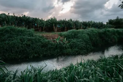 Charte sociale européenne enfin appliquée aux outre-mer : la France a délibérément nié les droits fondamentaux de ces citoyens
