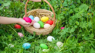 Chasse aux œufs mortelle en Allemagne : un arbre s'effondre, trois victimes dont un bébé