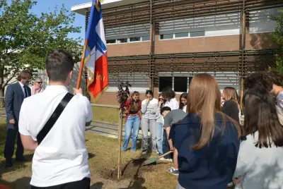 Collège de Salles : un arbre du souvenir pour la Résistance