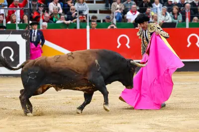 Corrida à La Brède : audience fixée au 12 mai par le tribunal administratif