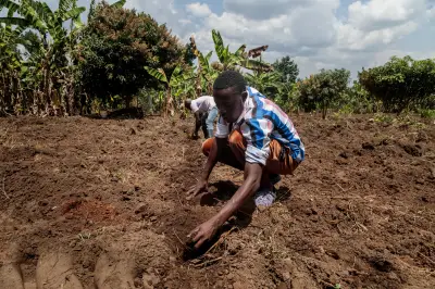 Crise énergétique mondiale : la fermeture du détroit d'Ormuz menace la sécurité alimentaire en Afrique