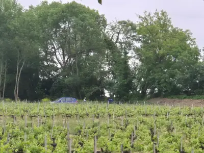 Découverte d'un corps dans la Dordogne à Asques