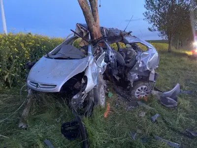 Drame de la Marne : quatre jeunes passionnés de mécanique tués dans un accident