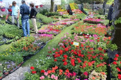 Festi'jardin de Royan : une foire printanière exceptionnelle avec 100 exposants