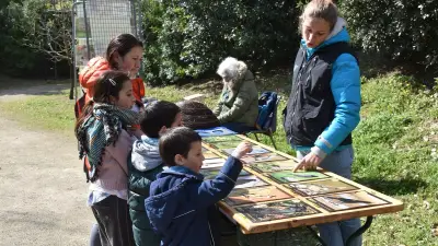 Feu vert pour le Printemps de l’Arboretum ce vendredi