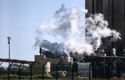 Fibre Excellence placée en redressement judiciaire avec six mois pour trouver un repreneur