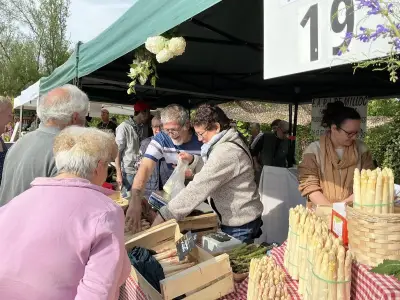 Fête de l'asperge : 50e édition réussie malgré les défis agricoles