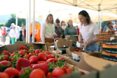 Fête des fraises et du terroir à Carros : 51e édition ce week-end