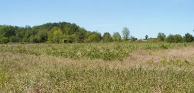 Grand Cubzaguais : appel à projets agricoles écologiques sur 14 hectares