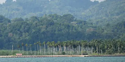 Grande Nicobar, sanctuaire de biodiversité, menacé par un projet de développement