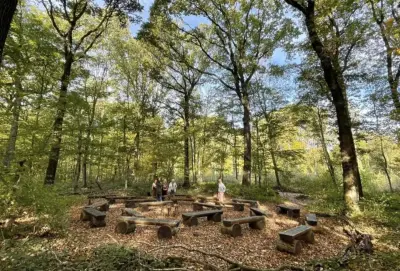 Hourtin-Port découvre les forêts cinéraires : une alternative écologique aux funérailles