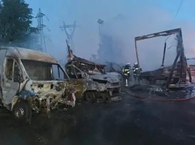 Incendie chez Le Petit Forestier à Floirac : six véhicules détruits