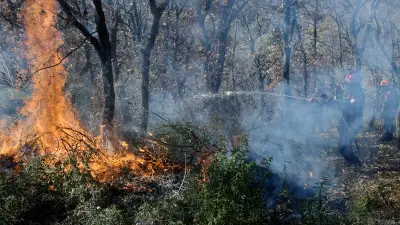 Incendie majeur en Lozère : 30 hectares déjà ravagés près d'Altier