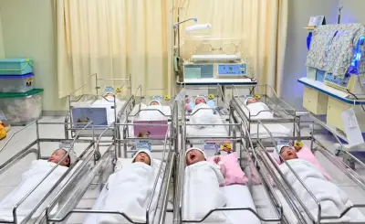 Indonésie : 19 personnes inculpées pour un réseau de traite de bébés vers Singapour