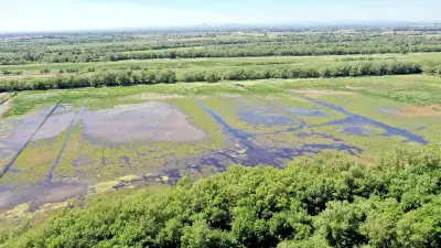 Innovations économiques dans le Gard : entreprises engagées pour un développement durable