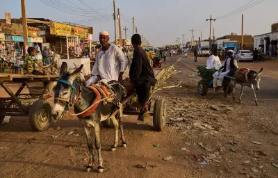 Insécurité alimentaire : 266 millions de personnes touchées en 2025